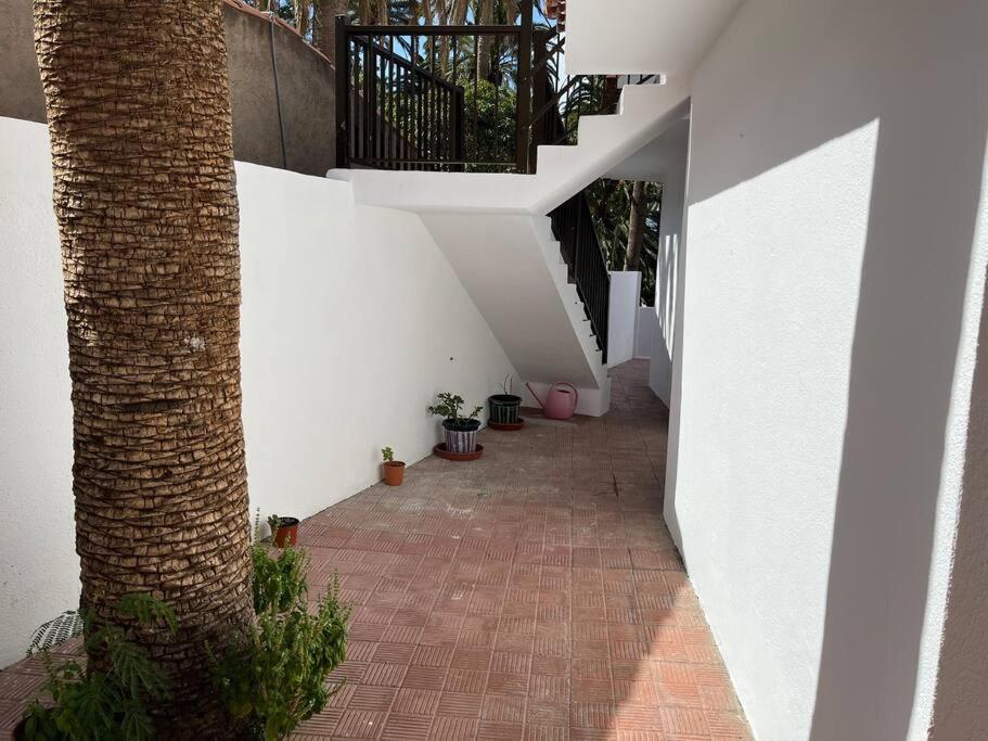 Holiday home Casa Palmar *