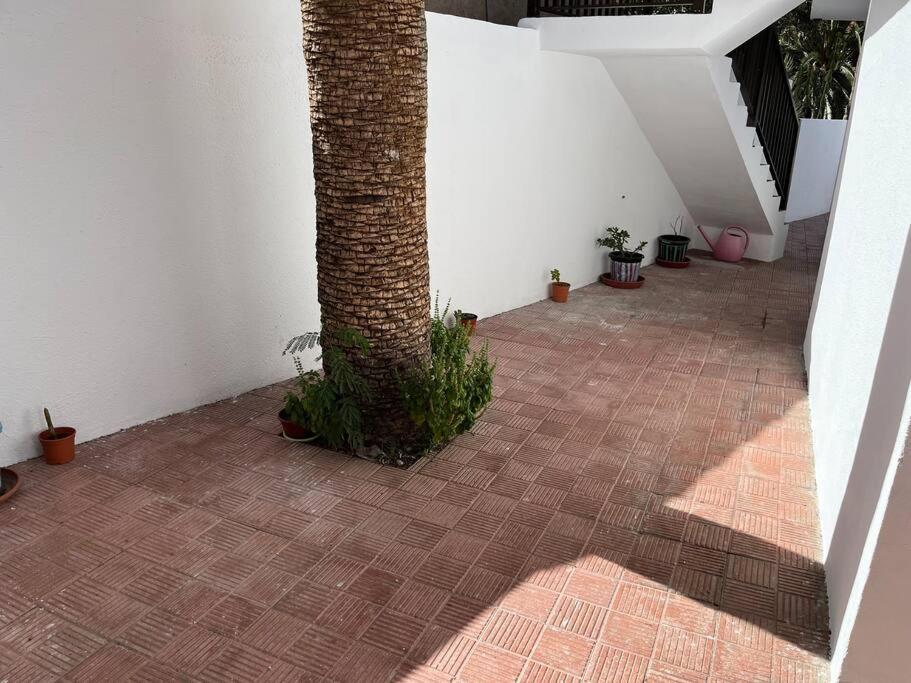 Dom wakacyjny Casa Palmar
