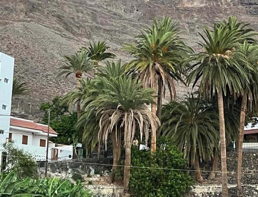 Casa Palmar *